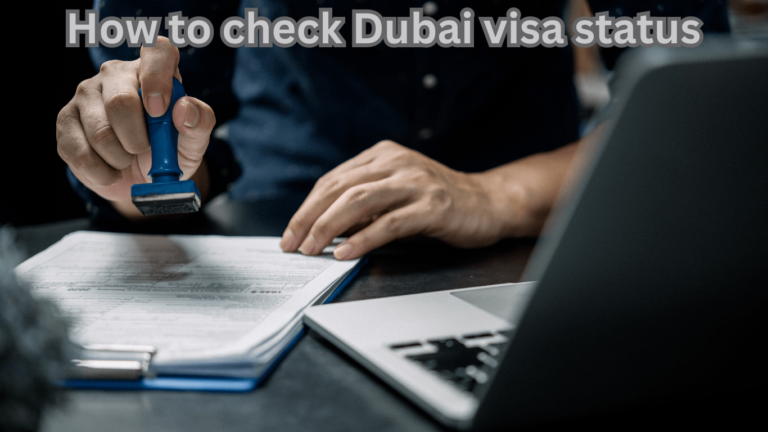 How To Check Dubai Visa Status