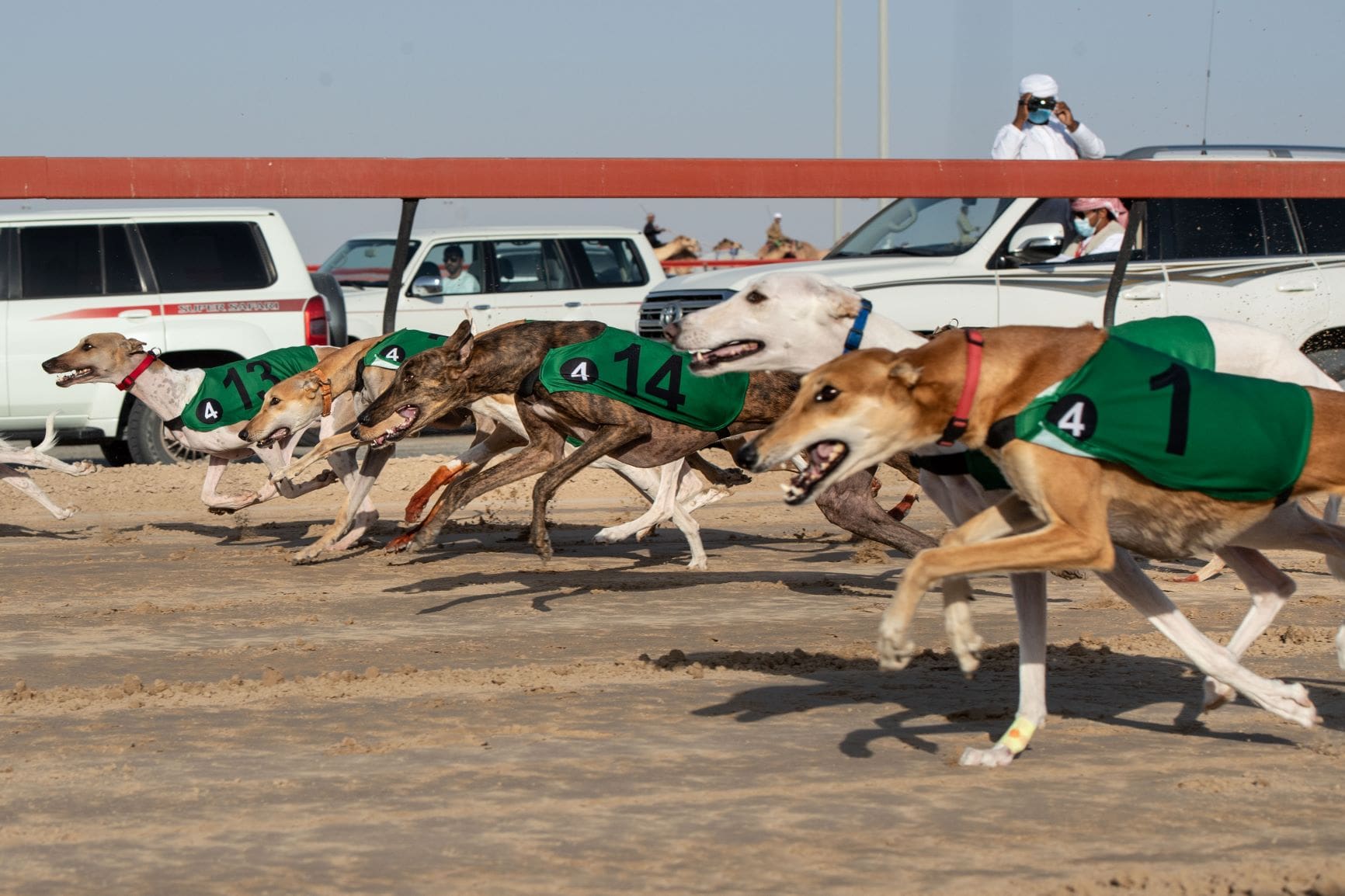 Saluki Racing