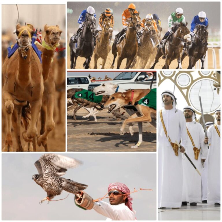 Most Popular Traditional Sports in UAE