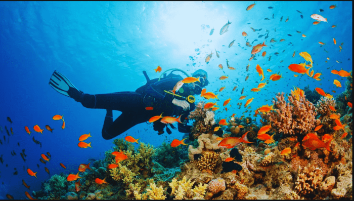 Scuba diving in Dubai