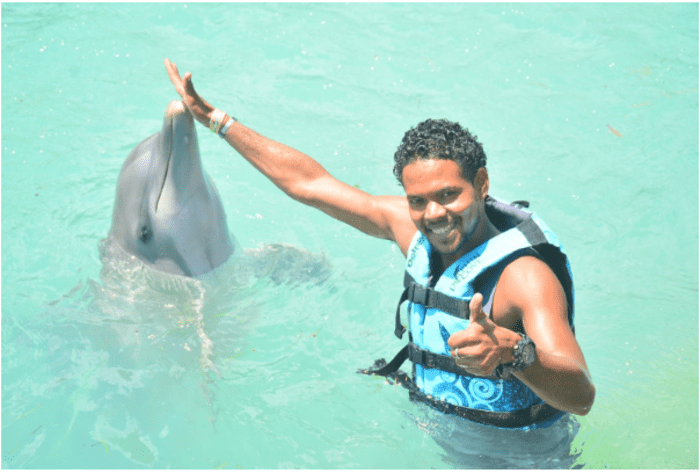 Caribbean Cruises at Dolphin