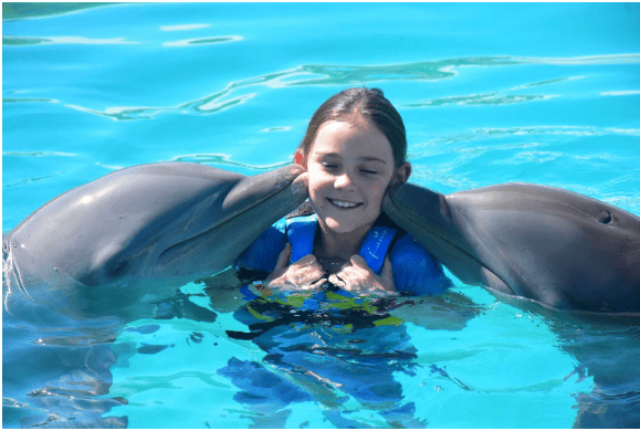 Enhance Cayman Islan Cruise Excursions with Dolphin Discovery