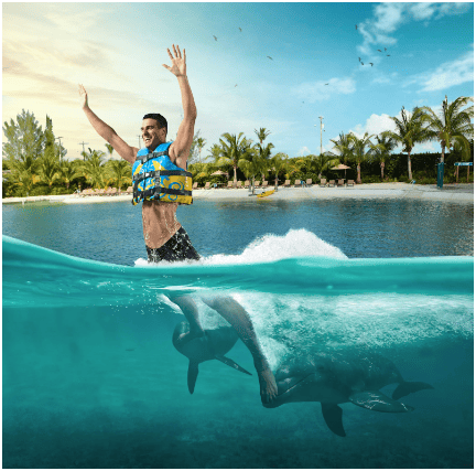 Dolphin activities at Grand Cayman