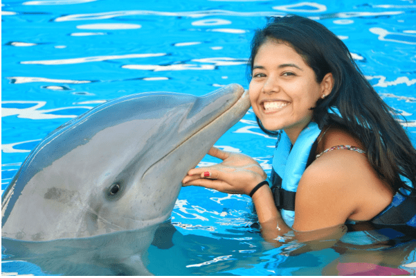 dolphins at water park 